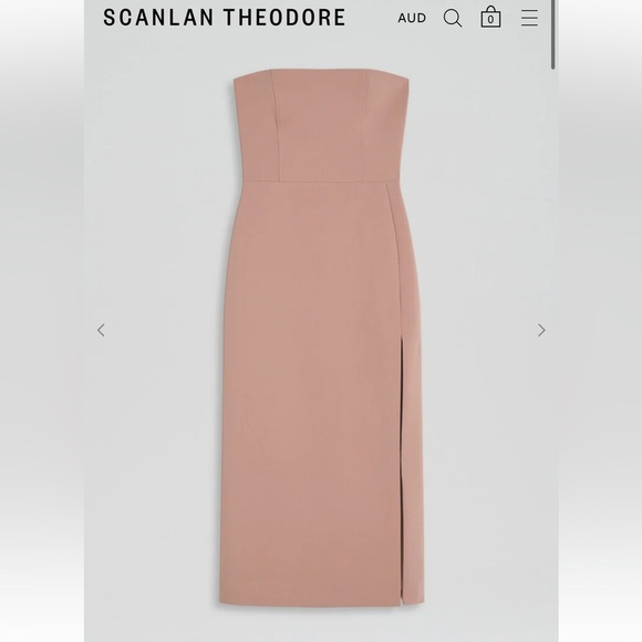 Dresses & Skirts - Scanlan Theodore Cady Strapless Nude Dress